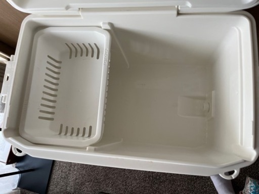 限定 PILOT 薄荷 北見 セントラル大丸藤井 ターコイズ 細字F パイロット