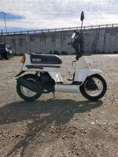 ホンダ スカッシュ セル付