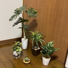 造花の観葉植物