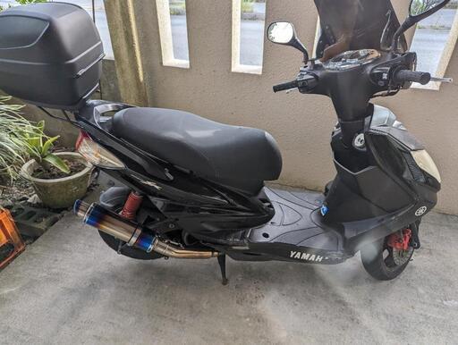 シグナス2型