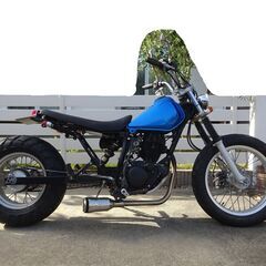 【ネット決済】TW200 青 ローダウン ロンスイ スカチューン...