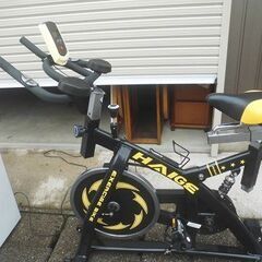 EXERCISE  BIKE  HAIGE