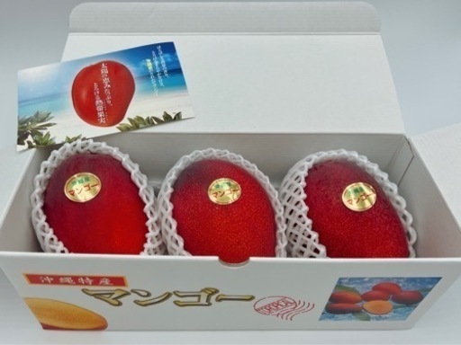 【 秀品 】贈答用マンゴー 1kg〜