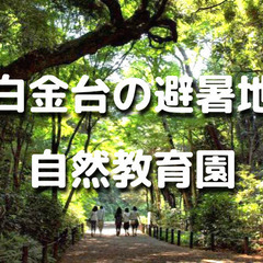 数少ない都内の森。避暑地ともいわれる白金台の自然教育園の森の中で...