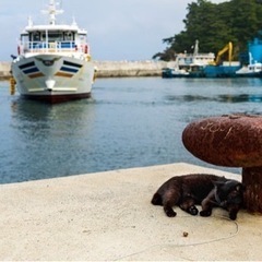 【急募/未経験者歓迎】横浜市鶴見区を中心とした造船所での養生、清...