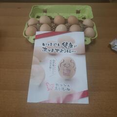 松本ファームの烏骨鶏の卵