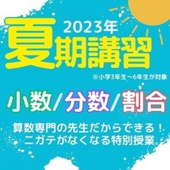 2023年【算数】夏休みの特別授業開催！