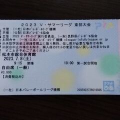 松本市開催　７月８日V女子サマーリーグチケット１枚　東部大会