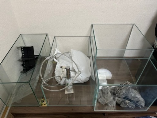 鑑賞用の水槽