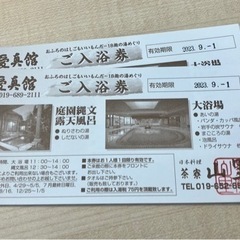 【ネット決済・配送可】愛真館　入浴券14枚期限9/1