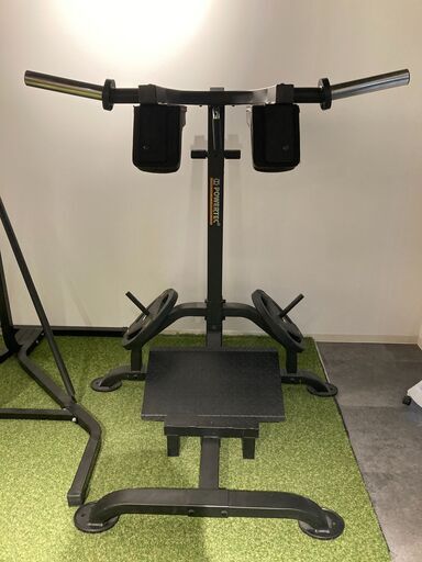 POWERTEC(パワーテック) レバレッジスクワット&カーフ ブラック