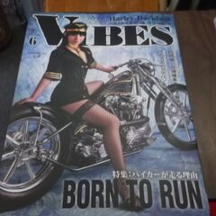 VIBES (バイブズ) 2023年6月号 (vol.356)