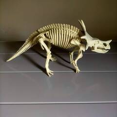 スティラコサウルス　骨格模型