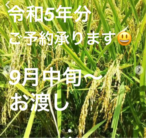 ご予約承り中❗️杵築市山香町米お米30キロ　令和5年新米