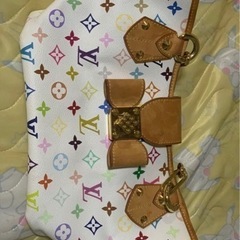 LOUIS VUITTON PARIS 正規品