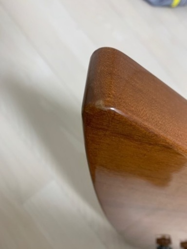 Gibson USA EXPLORER エクスプローラー 木目 | vaisand.com