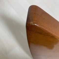 Gibson USA EXPLORER エクスプローラー 木目