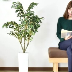 【ネット決済】人工観葉植物