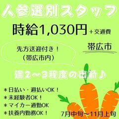 【日払い・週払い可】十勝の繁忙期求人！人参の選別作業員募集中☆先...