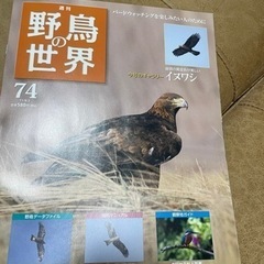 週刊野鳥の世界 74