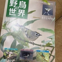 週刊野鳥の世界 105