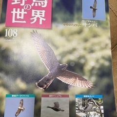 週刊野鳥の世界 108