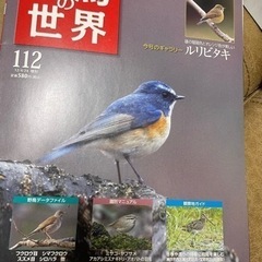週刊野鳥の世界 112