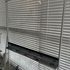 【恵比寿】透明 ホワイトボード  CLBO-2