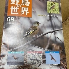 週刊 野鳥の世界 68