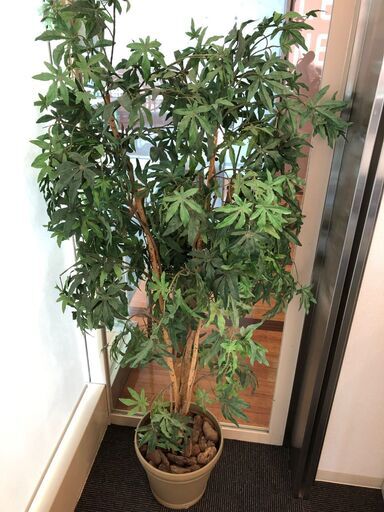 観葉植物(フェイクグリーン )【高さ：約150cm 幅：約70cm】