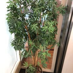 観葉植物(フェイクグリーン )【高さ：約150cm 幅：約…