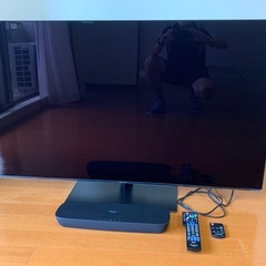 Panasonic VIERA ハイビジョン有機ELテレビ 55...