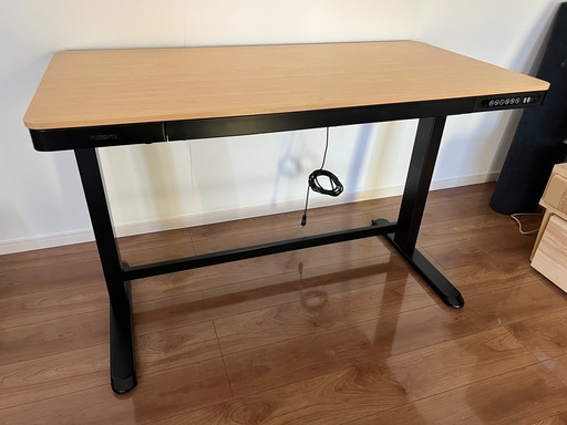 机 FlexiSpot EG8 Electric Elevation Desk, Width 47.2 x Depth 23.6 inches (120 x 60 cm), Wooden Top, Mem ory Function, Easy Assembly, USB Port, Standing Desk, Computer Desk, Stylish, Black Legs + Top Plate (Bamboo))