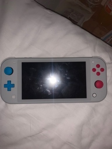Switchライトグレー