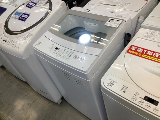 全自動洗濯機 ニトリ NTR60 紹介します！