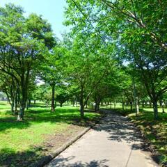 今週、公園か、動物園、カフェに行きませんか？