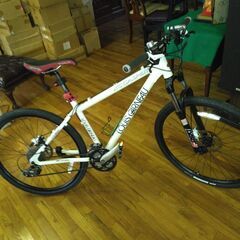 ルイガノ、マウンテンバイク