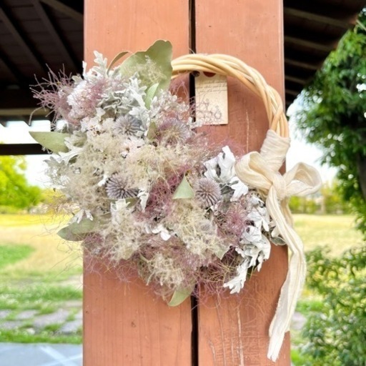 スモークツリー リース md