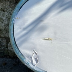 【中古】SUP C410\'6