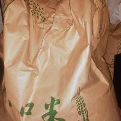 古米　令和4度産ヒノヒカリ玄米12kg