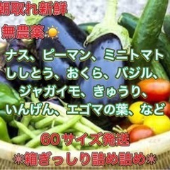 無農薬夏野菜詰め合わせ◎80サイズ