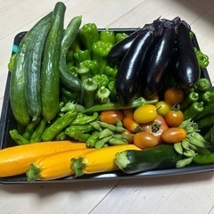 夏野菜盛り合わせ