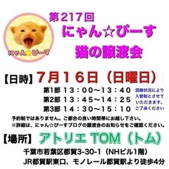 7月9日(日)🌸にゃん☆ぴーす猫の譲渡会🌸「アトリエTOM」JR...