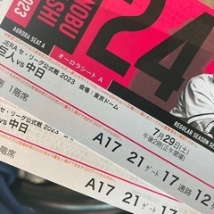 7月29日　東京ドーム巨人対中日戦　野球観戦