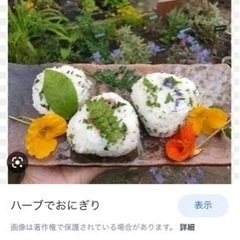 イタリアン野菜をおしゃれに畑作業⭐️野菜無料あげます