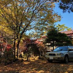 八ヶ丘山麓の清らかな高原の風が吹き抜ける蓼科の土地　茅野市　蓼科