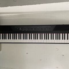 ＡＬＥＳＩＳ　ＲＥＣＩＴＡＬ　電子ピアノ