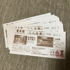 【ネット決済・配送可】愛真館　ご入浴券10枚　期限9/4