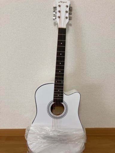 ギター【決まりました】