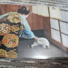 岩合光昭 ねこと京都 ポストカード2枚セット*猫、ネコ、写真展グッズ